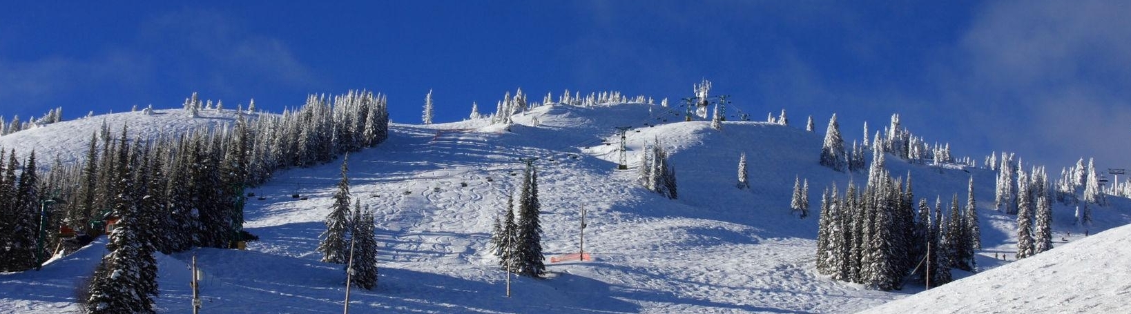 SilverStar