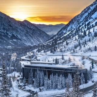 Snowbird