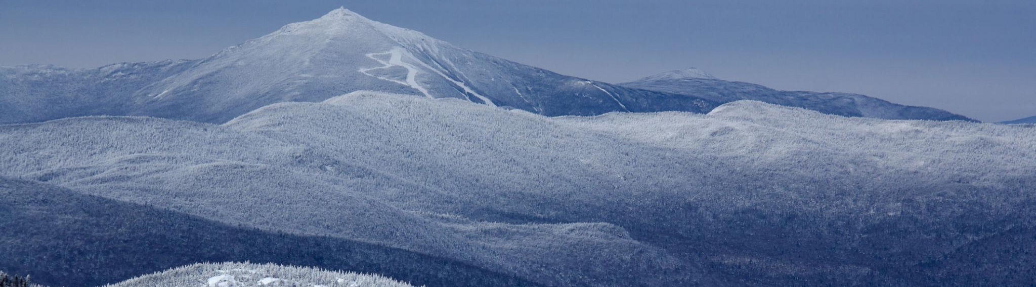 Whiteface
