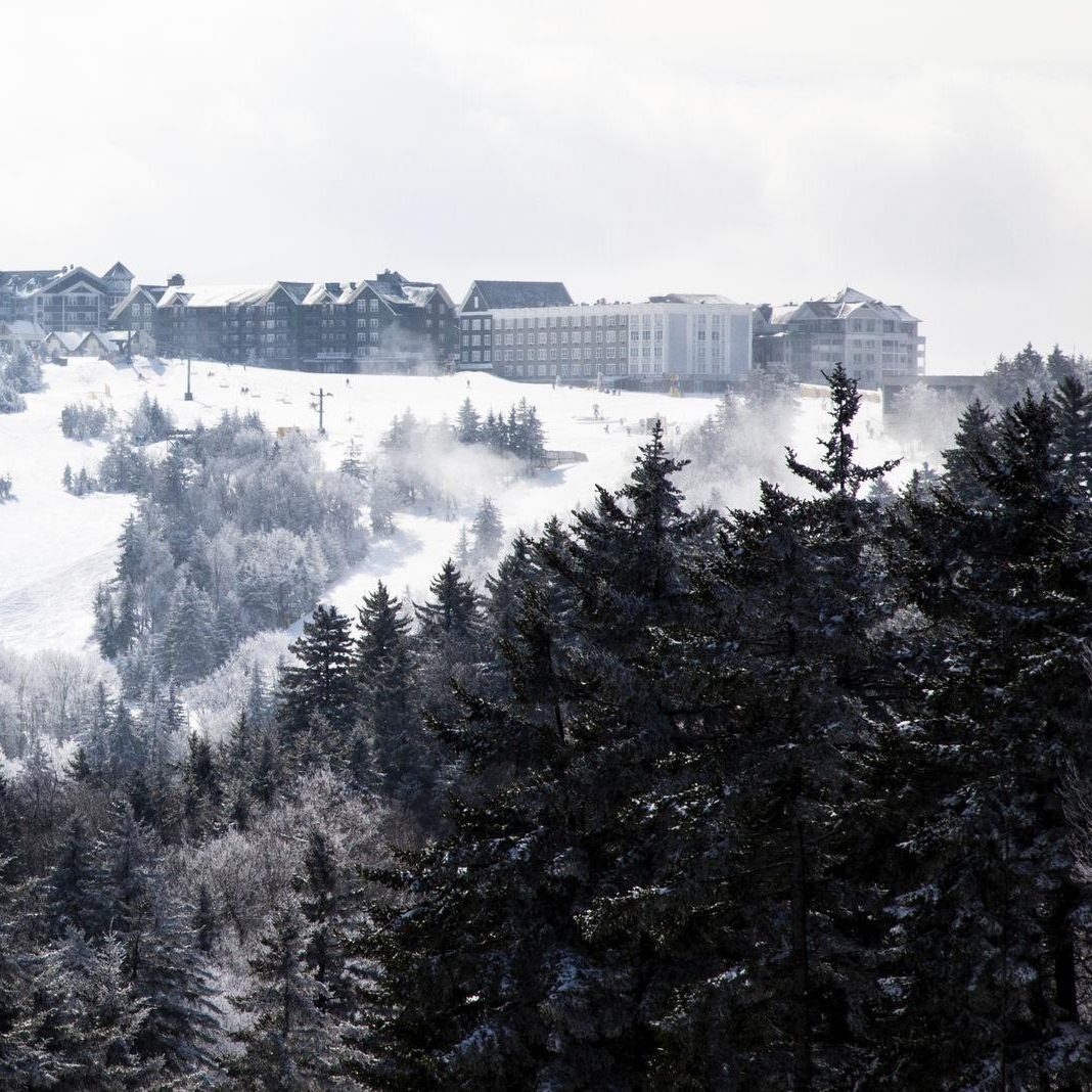 Snowshoe