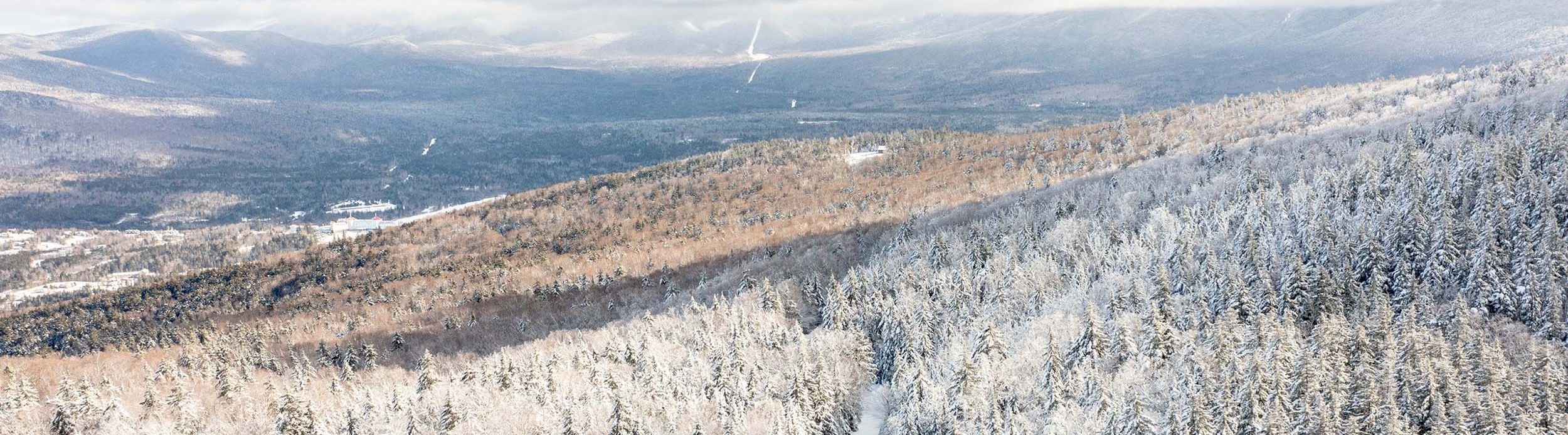 Bretton Woods