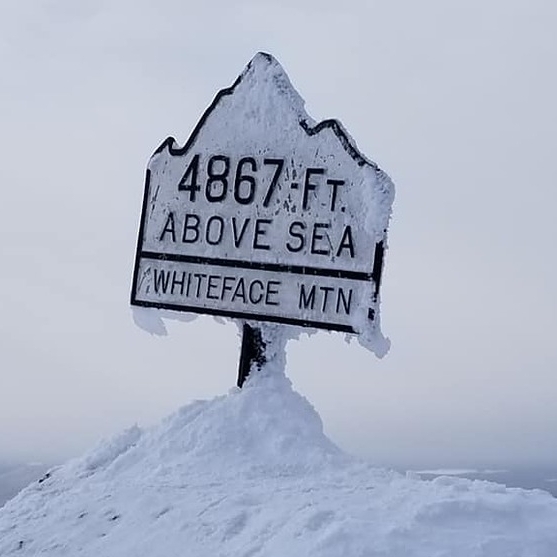 Whiteface