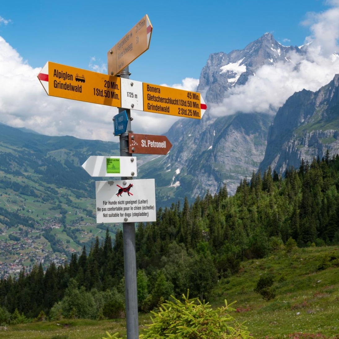 Grindelwald